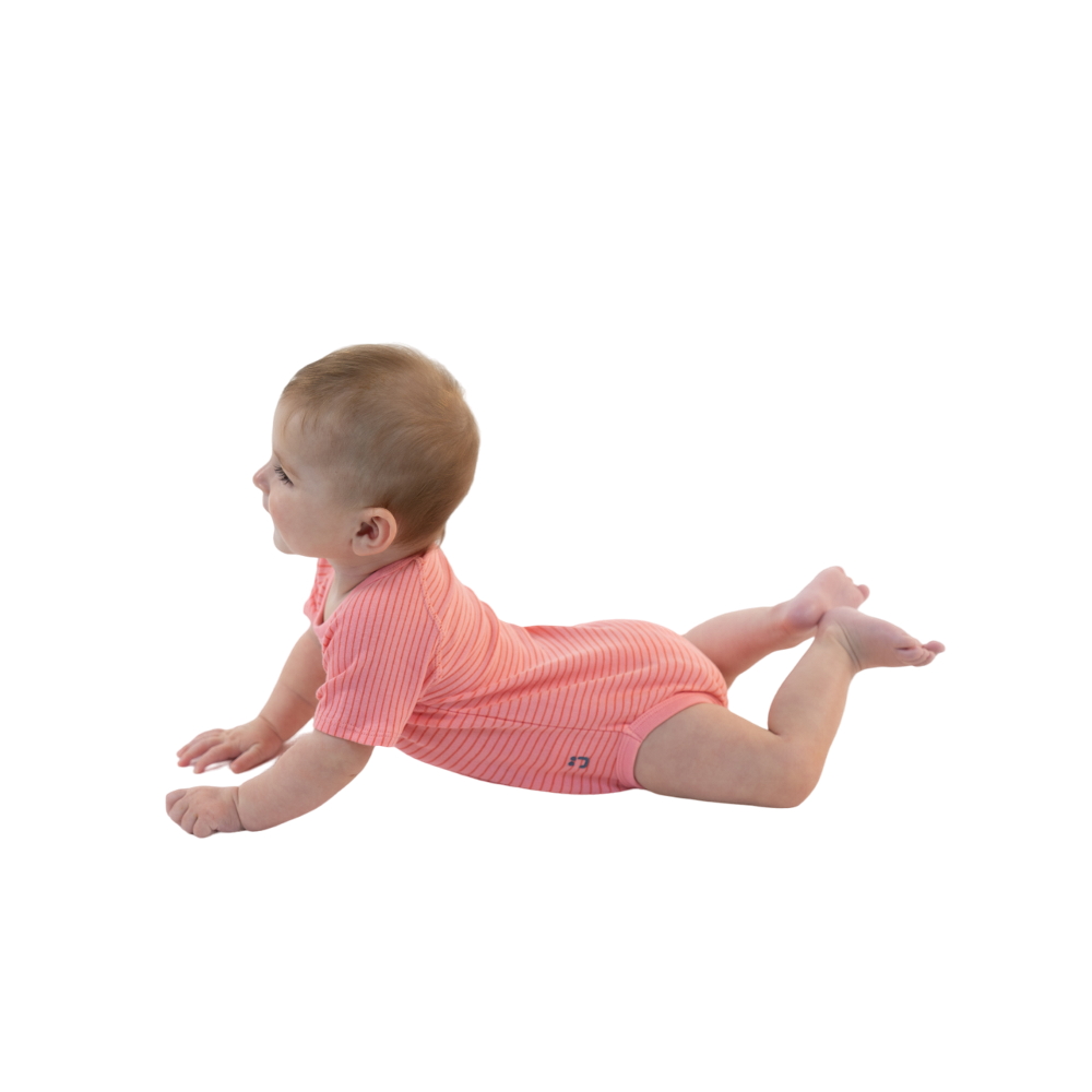 J Bimbi biopamut kombidressz rövid ujjú body 4 Seasons, 0-36 hónap - Csíkos korall - Image 2